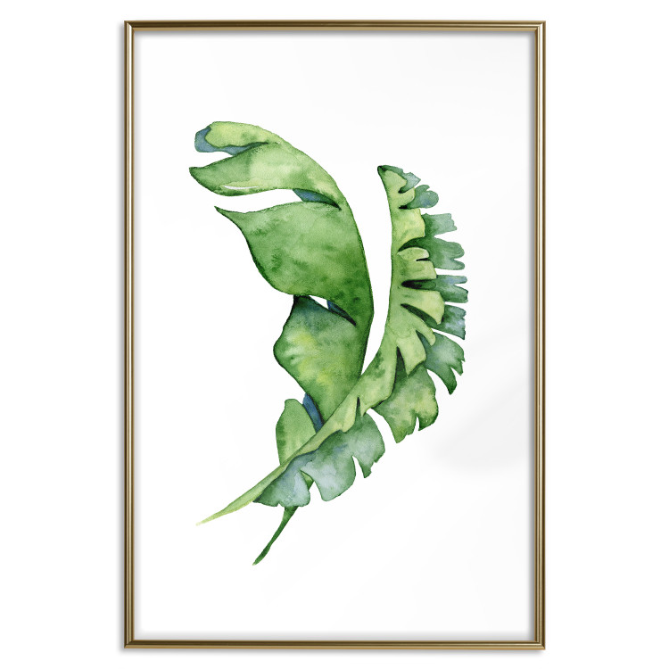 Poster Intertwined Leaves - watercolor composition with green foliage on white 136384 additionalImage 17
