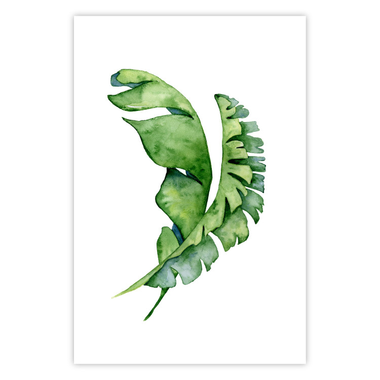 Poster Intertwined Leaves - watercolor composition with green foliage on white 136384