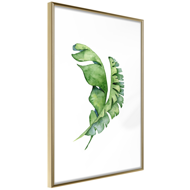 Poster Intertwined Leaves - watercolor composition with green foliage on white 136384 additionalImage 8