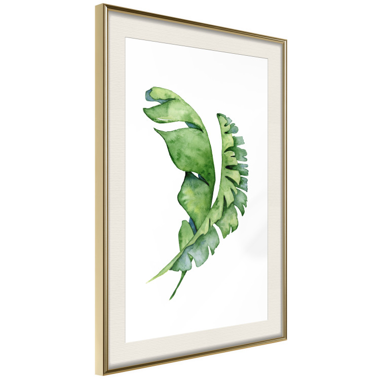 Poster Intertwined Leaves - watercolor composition with green foliage on white 136384 additionalImage 11