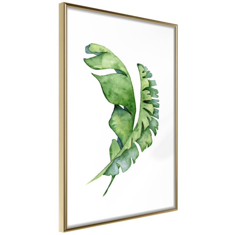 Poster Intertwined Leaves - watercolor composition with green foliage on white 136384 additionalImage 5