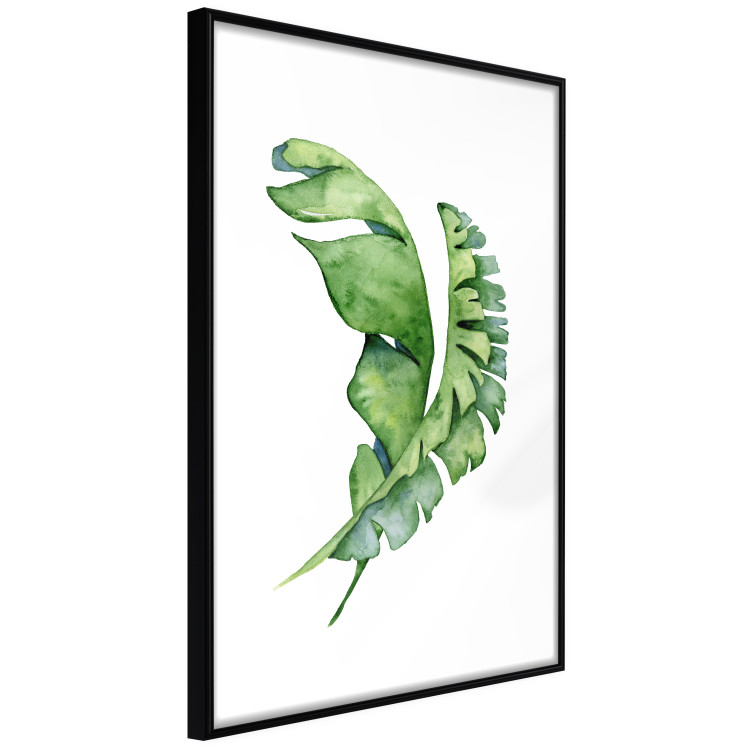 Poster Intertwined Leaves - watercolor composition with green foliage on white 136384 additionalImage 6