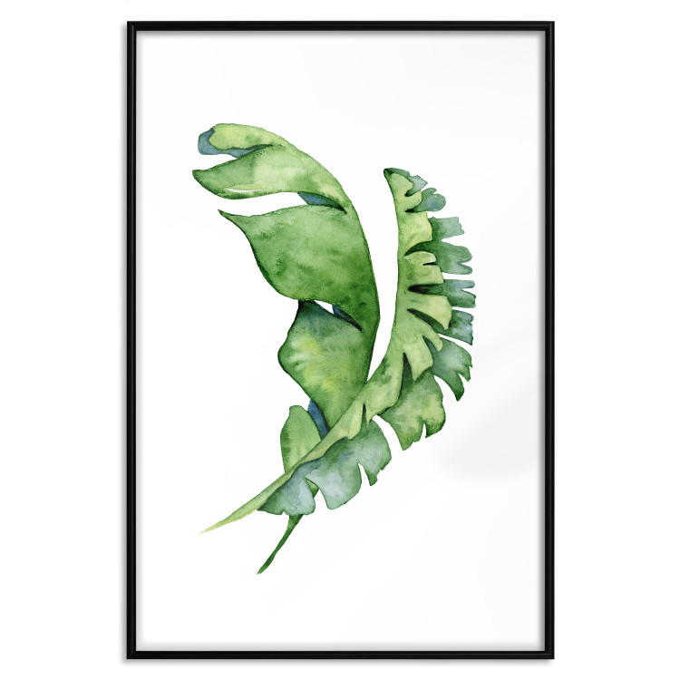 Poster Intertwined Leaves - watercolor composition with green foliage on white 136384 additionalImage 15