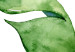 Poster Intertwined Leaves - watercolor composition with green foliage on white 136384 additionalThumb 2