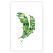 Poster Intertwined Leaves - watercolor composition with green foliage on white 136384 additionalThumb 21