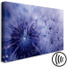 Canvas Art Print Purple Dandelions (1-piece) Wide - delicate flowers up close 138684 additionalThumb 6