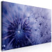 Canvas Art Print Purple Dandelions (1-piece) Wide - delicate flowers up close 138684 additionalThumb 2