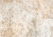 Large canvas print Rust Texture - Abstract Painting in Shades of Soft Browns [Large Format] 151484 additionalThumb 5