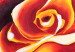 Canvas Print Three charming roses 48584 additionalThumb 3