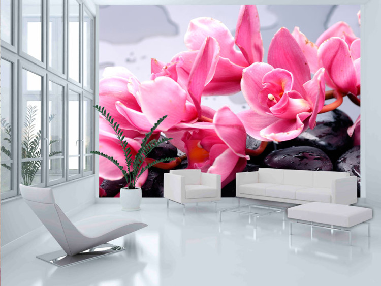 Photo Wallpaper Composition - Pink Orchid Flowers Resting on Wet Zen Stones 60184