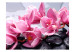 Photo Wallpaper Composition - Pink Orchid Flowers Resting on Wet Zen Stones 60184 additionalThumb 1