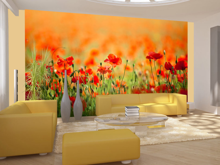 Photo Wallpaper Poppies on a Sunny Summer Day - Red Flowers in Warm Colours 60384