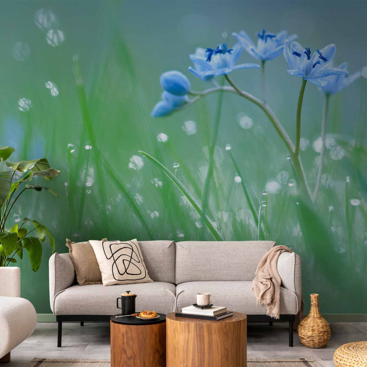 Wall Mural Meadow - In the Glow of the Morning Sun - Flower with Water Droplets on a Sky Background 60484