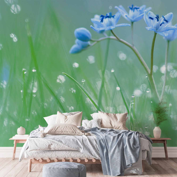 Wall Mural Meadow - In the Glow of the Morning Sun - Flower with Water Droplets on a Sky Background 60484 additionalImage 2