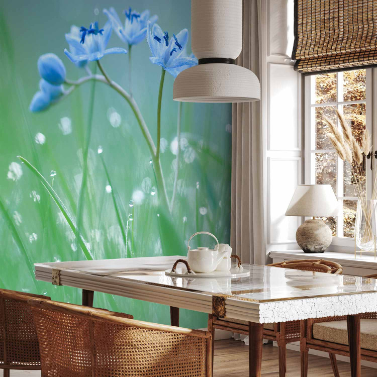 Wall Mural Meadow - In the Glow of the Morning Sun - Flower with Water Droplets on a Sky Background 60484 additionalImage 4