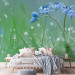 Wall Mural Meadow - In the Glow of the Morning Sun - Flower with Water Droplets on a Sky Background 60484 additionalThumb 2