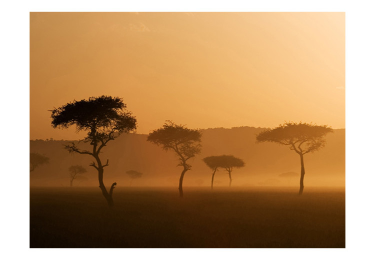 Photo Wallpaper Massai Mara 61384 additionalImage 1