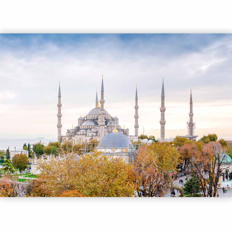 Wall Mural Hagia Sophia Istanbul - architectural elements with Turkish monuments in the background 96684 additionalImage 1