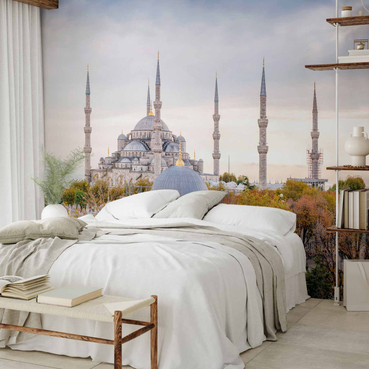 Wall Mural Hagia Sophia Istanbul - architectural elements with Turkish monuments in the background 96684 additionalImage 2