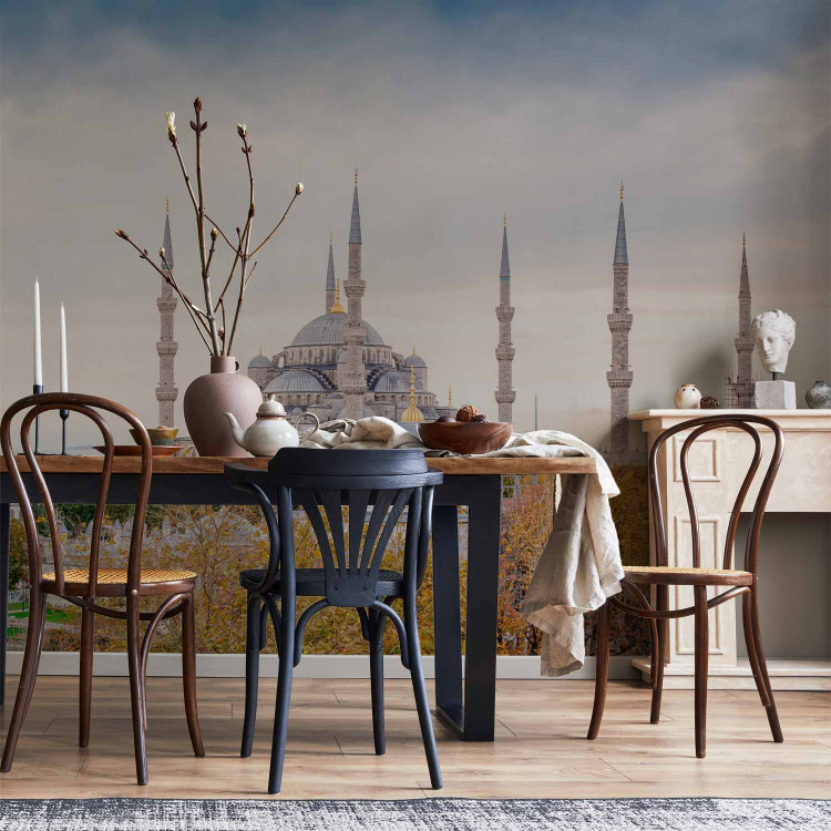 Wall Mural Hagia Sophia Istanbul - architectural elements with Turkish monuments in the background 96684 additionalImage 6