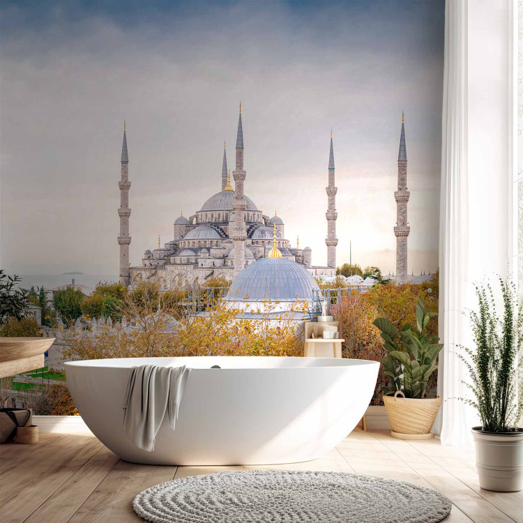 Wall Mural Hagia Sophia Istanbul - architectural elements with Turkish monuments in the background 96684 additionalImage 8