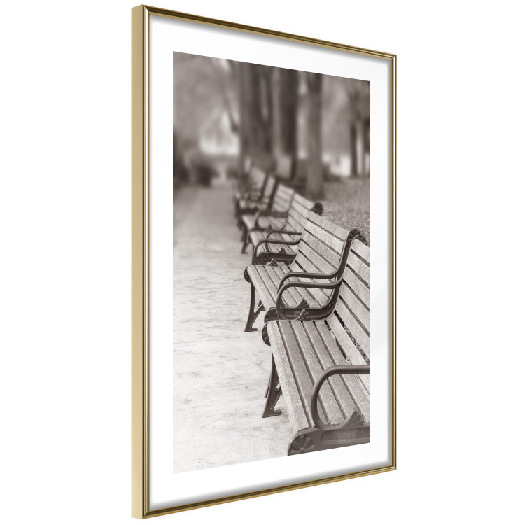 Poster Park Benches - autumnal scene straight from a park stroll in Paris 116694 additionalImage 6