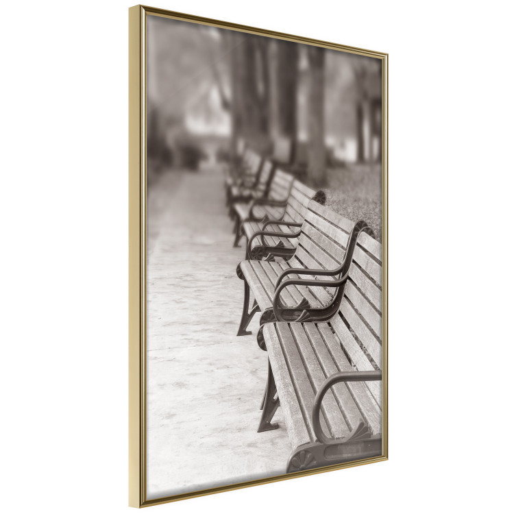 Poster Park Benches - autumnal scene straight from a park stroll in Paris 116694 additionalImage 12