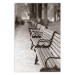 Poster Park Benches - autumnal scene straight from a park stroll in Paris 116694