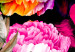 Wall Poster Summer Garden - colorful composition with peony flowers on a black background 117994 additionalThumb 9