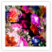 Wall Poster Summer Garden - colorful composition with peony flowers on a black background 117994 additionalThumb 25