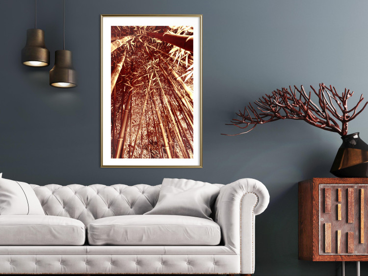Poster Tall Bamboo - natural bamboo trees in brown light 123894 additionalImage 13