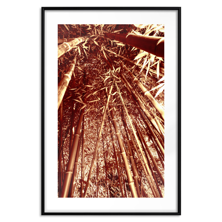 Poster Tall Bamboo - natural bamboo trees in brown light 123894 additionalImage 15