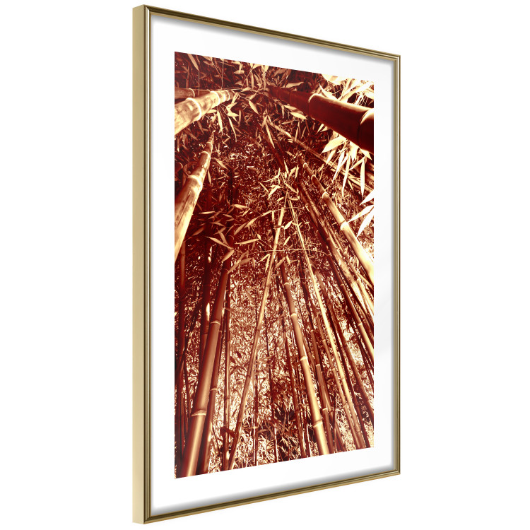 Poster Tall Bamboo - natural bamboo trees in brown light 123894 additionalImage 6