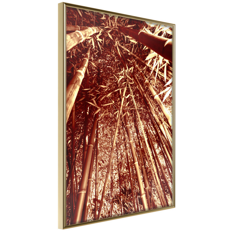 Poster Tall Bamboo - natural bamboo trees in brown light 123894 additionalImage 12