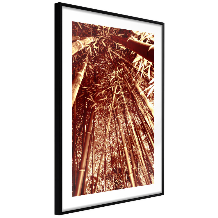Poster Tall Bamboo - natural bamboo trees in brown light 123894 additionalImage 11
