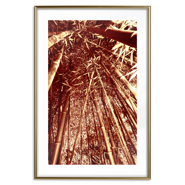 Poster Tall Bamboo - natural bamboo trees in brown light 123894 additionalImage 14
