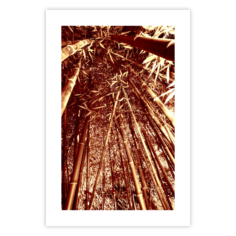 Poster Tall Bamboo - natural bamboo trees in brown light 123894 additionalImage 19