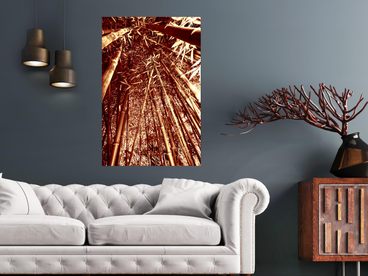 Poster Tall Bamboo - natural bamboo trees in brown light 123894 additionalImage 17