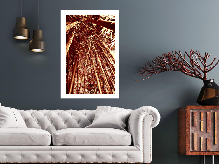 Poster Tall Bamboo - natural bamboo trees in brown light 123894 additionalImage 2