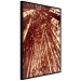 Poster Tall Bamboo - natural bamboo trees in brown light 123894 additionalThumb 10