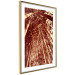 Poster Tall Bamboo - natural bamboo trees in brown light 123894 additionalThumb 6