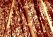 Poster Tall Bamboo - natural bamboo trees in brown light 123894 additionalThumb 9