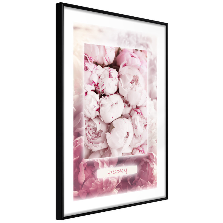 Poster Spring Delicacy - light pink flowers and English text 126194 additionalImage 13