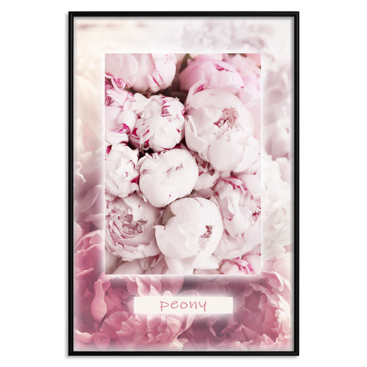 Poster Spring Delicacy - light pink flowers and English text 126194 additionalImage 18