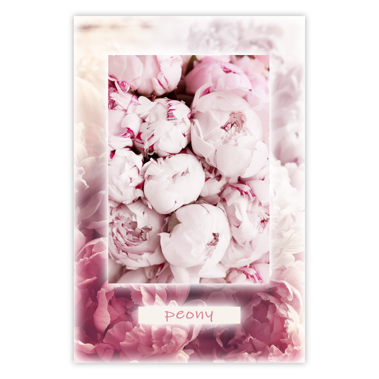 Poster Spring Delicacy - light pink flowers and English text 126194