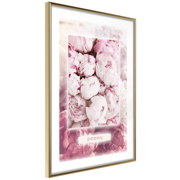 Poster Spring Delicacy - light pink flowers and English text 126194 additionalImage 8