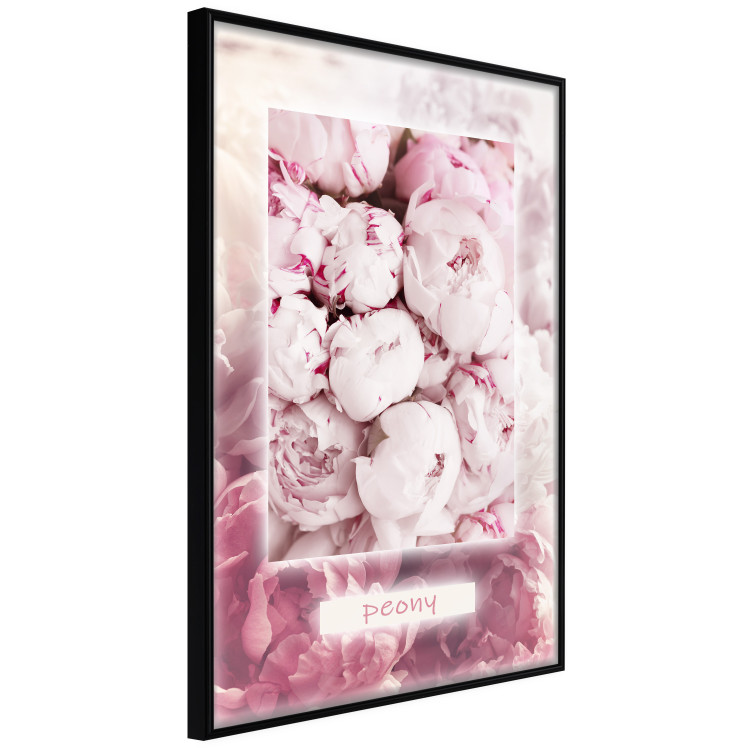 Poster Spring Delicacy - light pink flowers and English text 126194 additionalImage 12