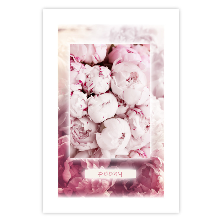 Poster Spring Delicacy - light pink flowers and English text 126194 additionalImage 19