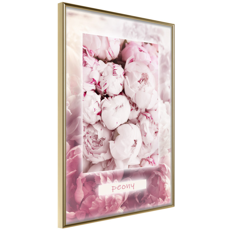 Poster Spring Delicacy - light pink flowers and English text 126194 additionalImage 14