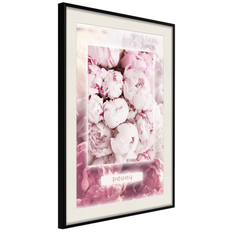 Poster Spring Delicacy - light pink flowers and English text 126194 additionalImage 3